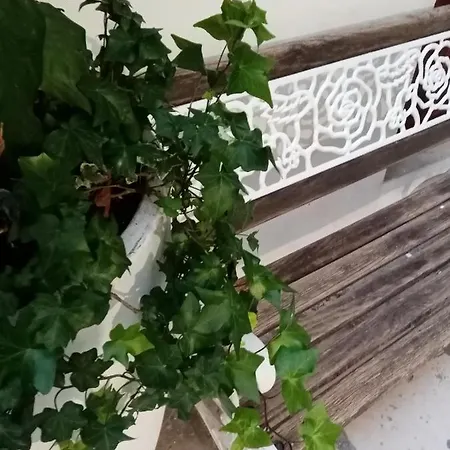 Apartment Corte Serra